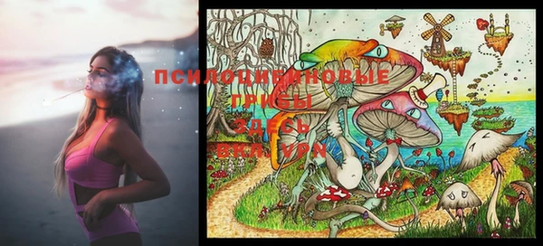 MESCALINE Баксан